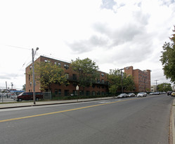 Baisley Park Gardens Apartments