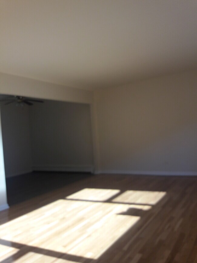 11116 S Homewood Ave in Chicago, IL - Building Photo - Building Photo