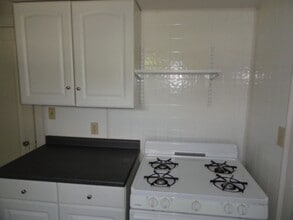 1209 S W Ave in Jackson, MI - Building Photo - Building Photo