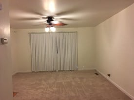 13613 S Saint Louis Ave in Robbins, IL - Building Photo