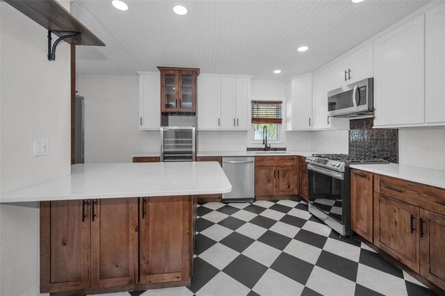 1529 Paloma Ln in Dunedin, FL - Building Photo - Building Photo