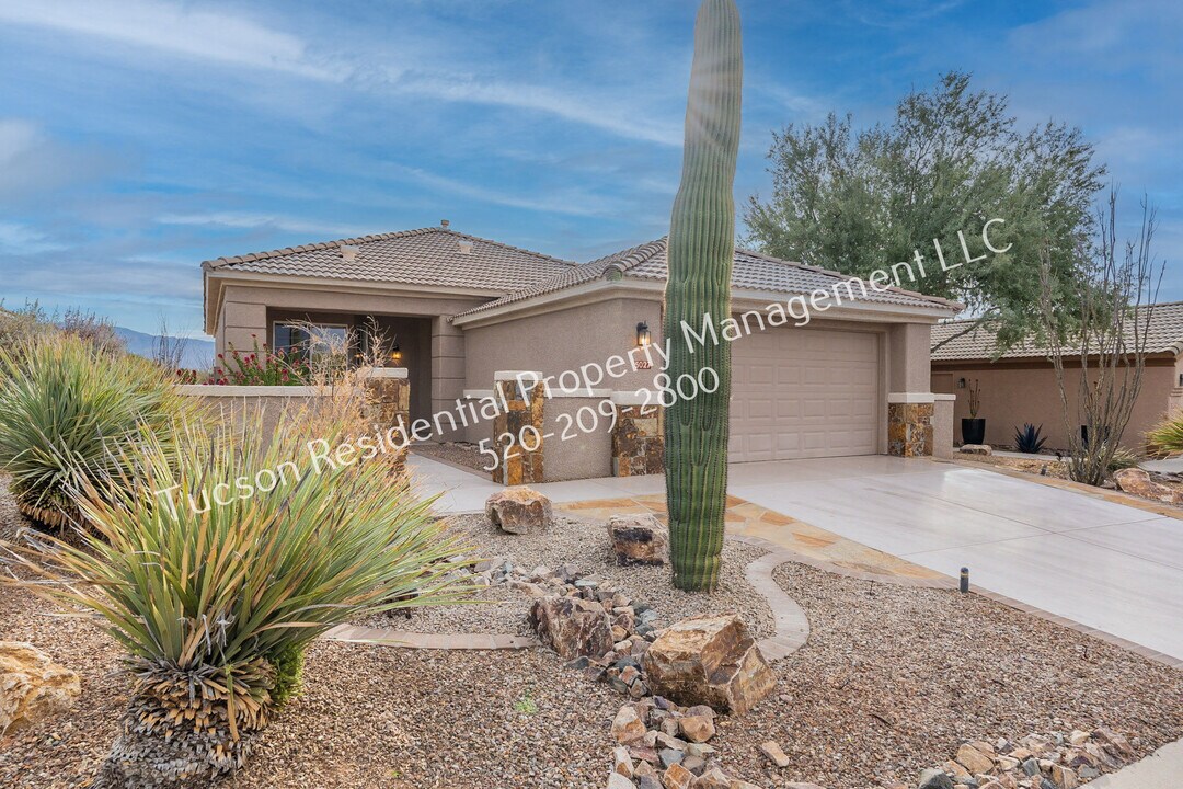 5027 W Desert Chicory Pl in Marana, AZ - Building Photo