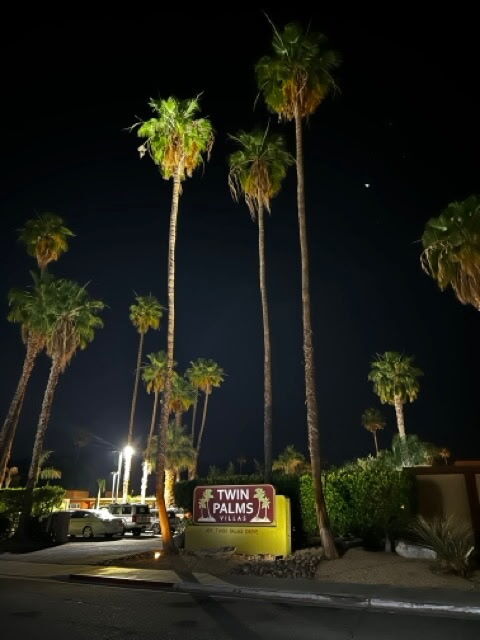 Twin Palms Apartments in Palm Springs, CA - Building Photo