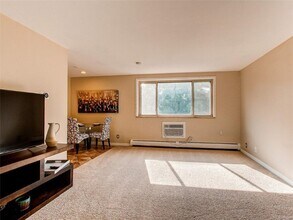 1243 N Washington St in Denver, CO - Building Photo - Building Photo