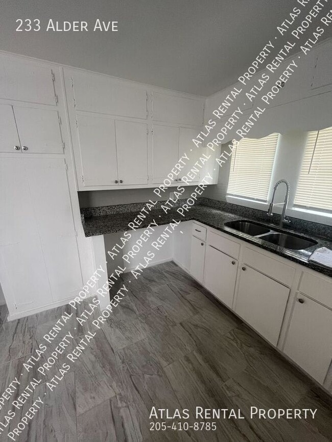 233 Alder Ave in Birmingham, AL - Building Photo - Building Photo