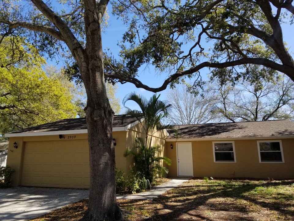 2939 Sugar Bear Trail in Palm Harbor, FL - Building Photo