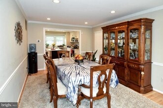 13171 Ruby Lace Ct in Herndon, VA - Building Photo - Building Photo