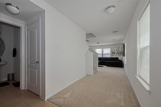 19229 Gunther Springs Ct in Houston, TX - Building Photo - Building Photo