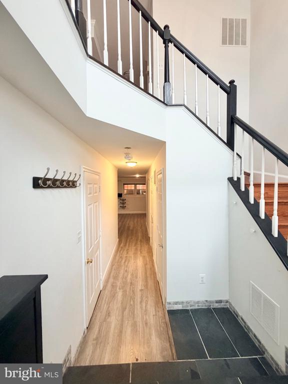 6622 Frost Lake Ln in Alexandria, VA - Building Photo - Building Photo