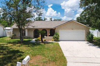 7504 N Sanibel Cir in Tampa, FL - Building Photo - Building Photo