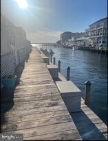 720 Rusty Anchor Rd in Ocean City, MD - Building Photo