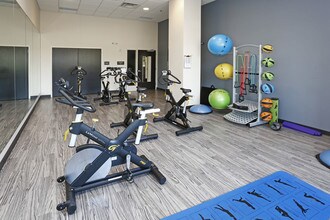 The Shoreham Apartments in St. Louis Park, MN - Building Photo - Interior Photo
