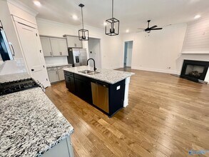 330 Silo Ln in Madison, AL - Building Photo - Building Photo