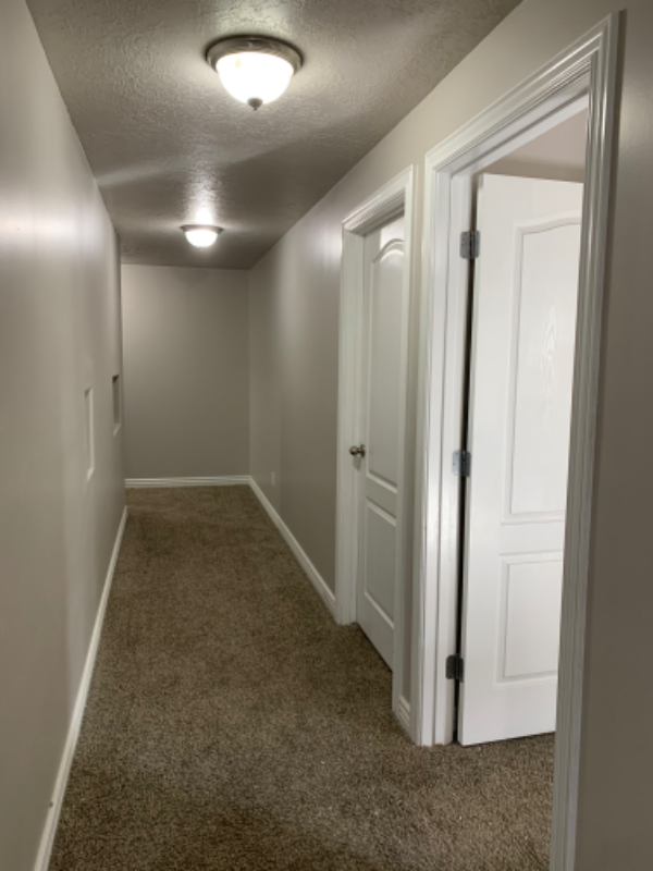 property at 5529 basement