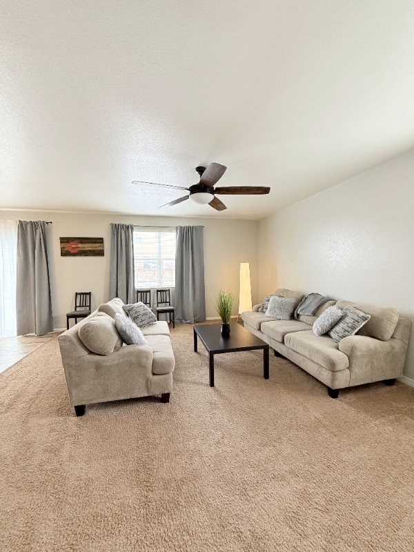 3634 Daylily St in Wellington, CO - Foto de edificio - Building Photo