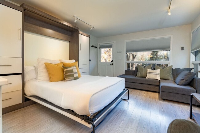 900 E Hopkins Ave in Aspen, CO - Building Photo - Building Photo