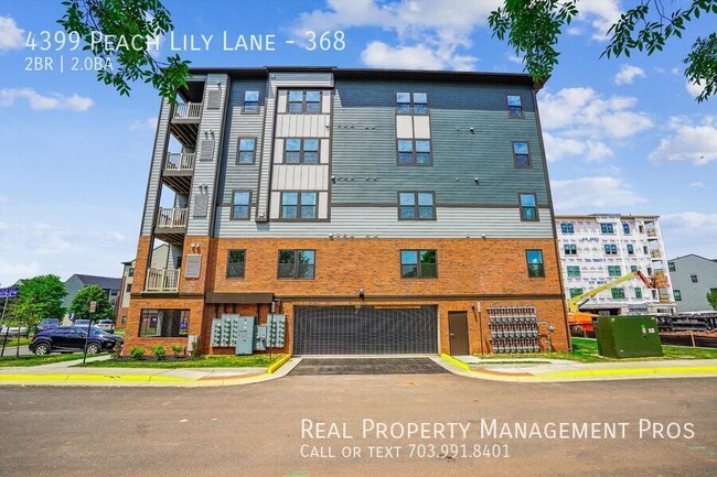 4399 Peach Lily Ln in Chantilly, VA - Building Photo - Building Photo