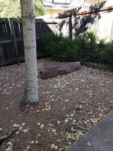512 W Longhorn Rd in Payson, AZ - Building Photo - Building Photo
