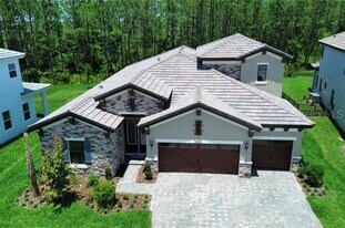 35335 Big Hawk Dr in Zephyrhills, FL - Building Photo