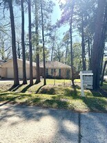 2 E White Willow Cir in Spring, TX - Building Photo