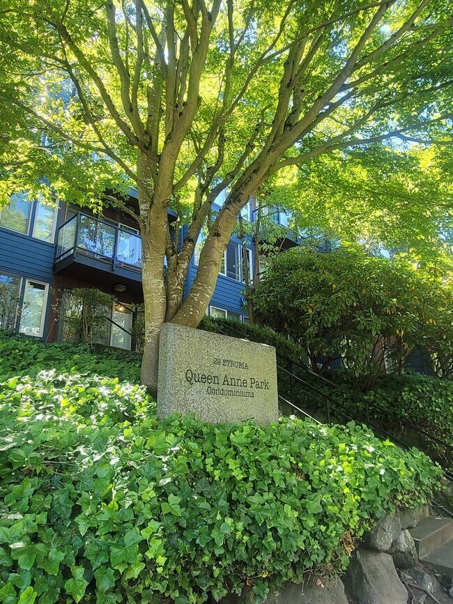 property at 29 Etruria St