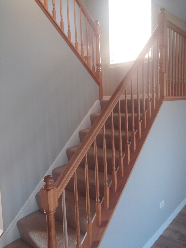 2513 Stonybrook Dr in Plainfield, IL - Foto de edificio - Building Photo