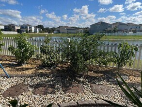 3093 Slough Creek Dr in Kissimmee, FL - Foto de edificio - Building Photo
