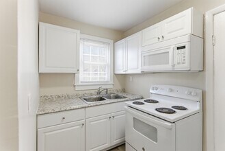 109 N Cruze St in Knoxville, TN - Building Photo - Building Photo