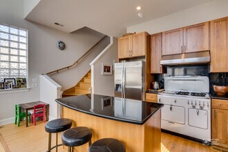 869 N Paulina St in Chicago, IL - Building Photo - Building Photo