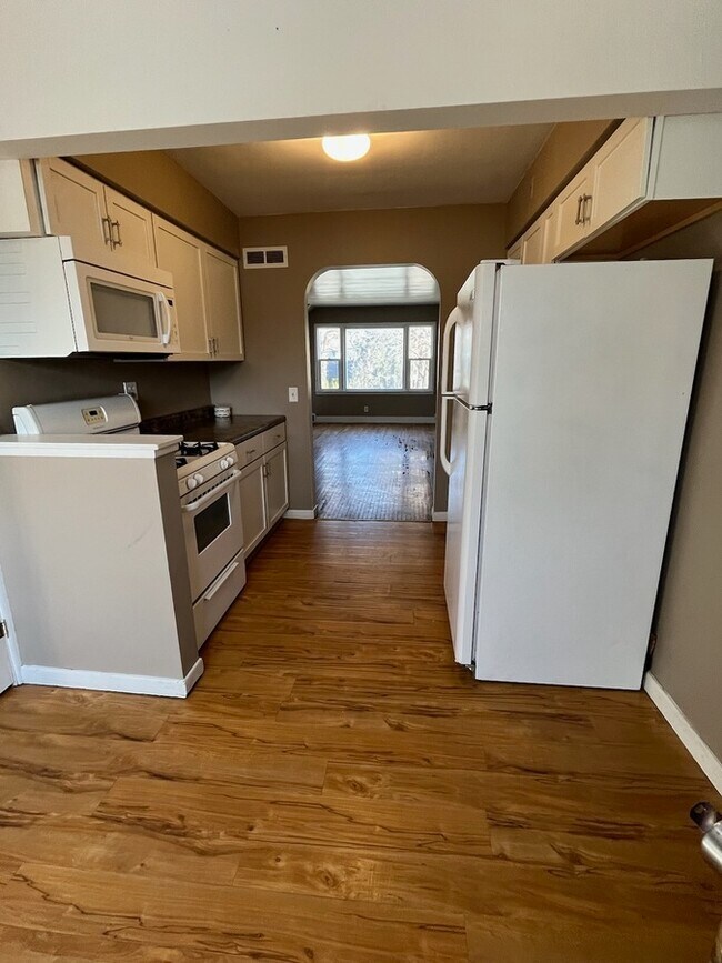 217 W Cass St in Greenville, MI - Building Photo - Building Photo