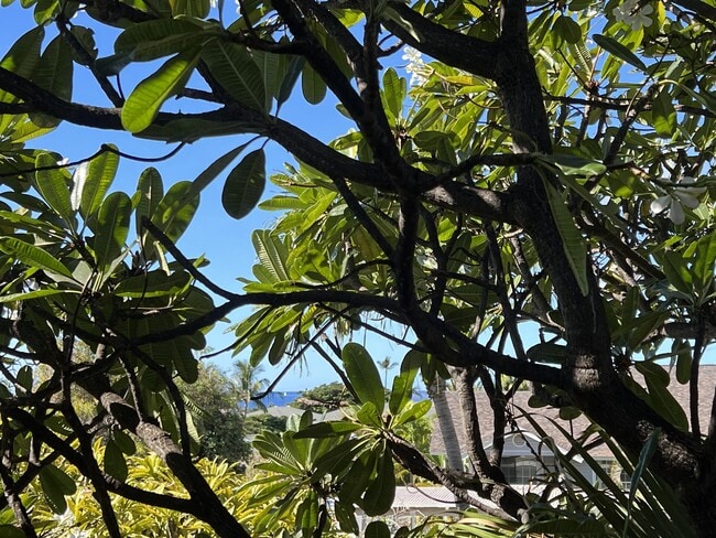 property at 160 Keonekai Rd