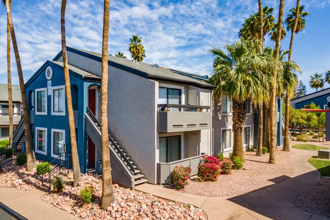 Palms at South Mountain