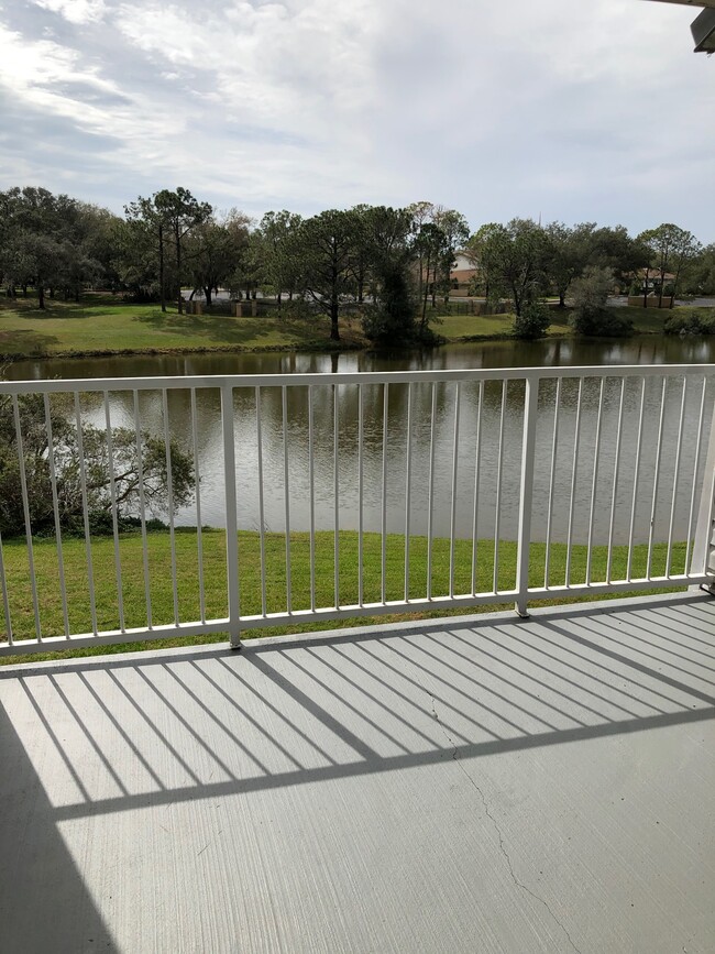 2508 Grassy Point Dr, Unit 206 in Lake Mary, FL - Building Photo - Building Photo