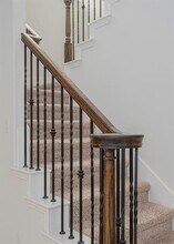 3038 Seattle Slew Dr in Celina, TX - Building Photo - Building Photo