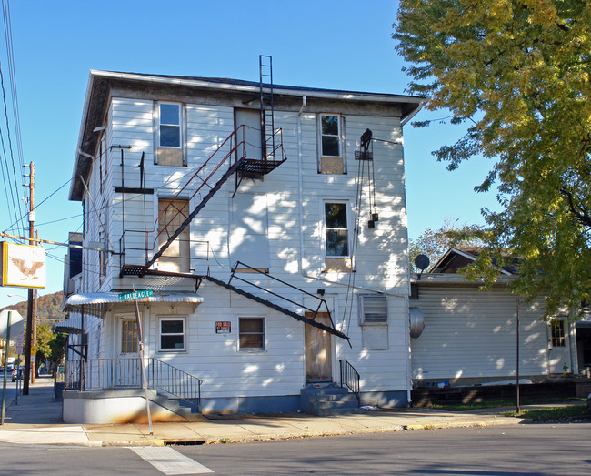 101 E Bald Eagle St in Lock Haven, PA - Building Photo - Building Photo