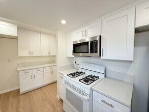226 Gloxina St in Encinitas, CA - Building Photo - Building Photo