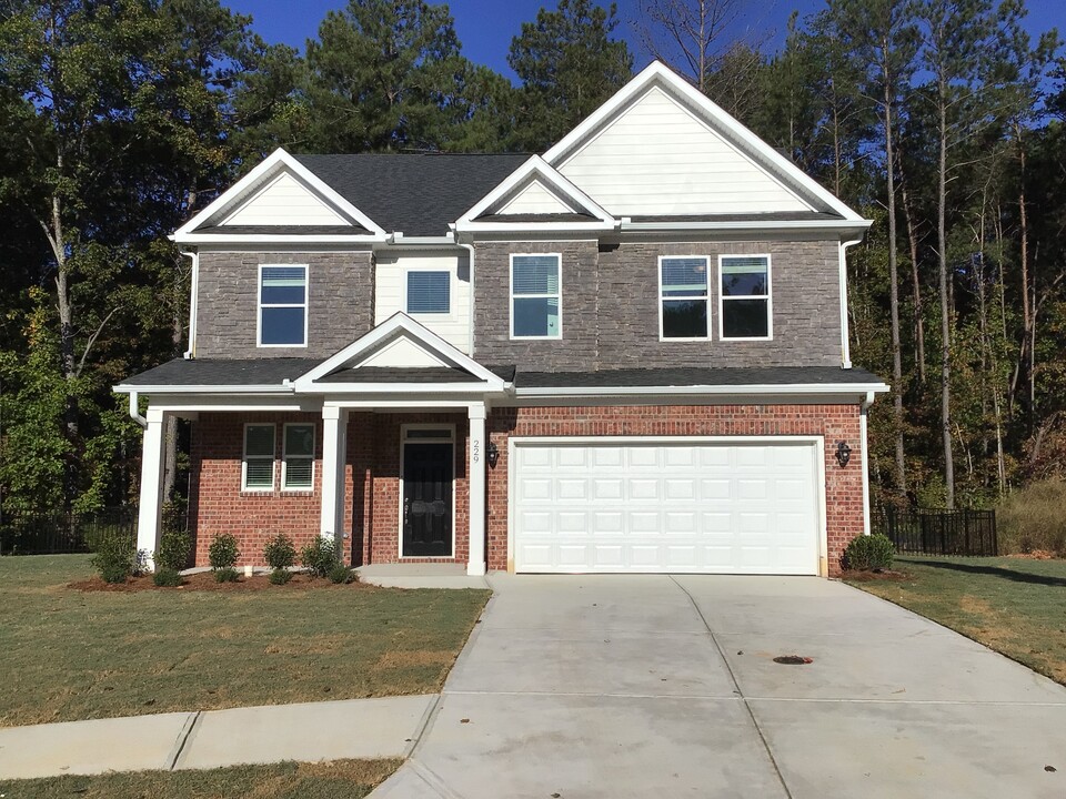 229 Rivulet Dr in Holly Springs, GA - Building Photo