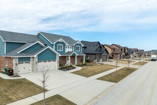 20005 Boyne Dr in Tinley Park, IL - Building Photo