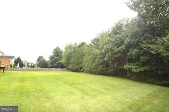 25461 Lemon Tree Pl in South Riding, VA - Building Photo - Building Photo