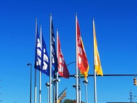 University City North