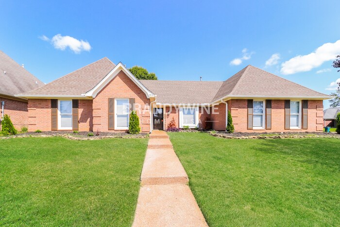 9914 Leda Cove in Cordova, TN - Building Photo