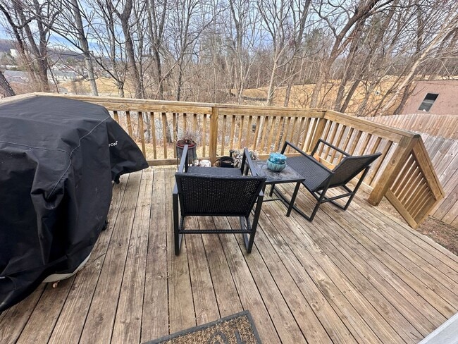 209 Morton St in Radford, VA - Building Photo - Building Photo