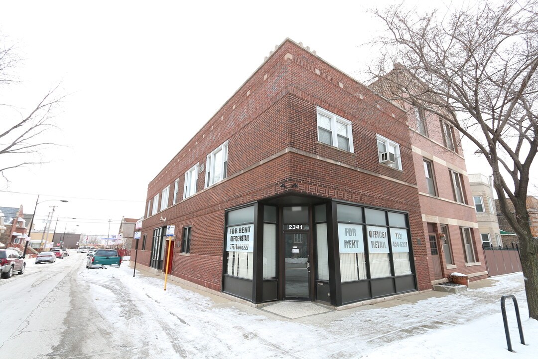 2341 W 25th St in Chicago, IL - Building Photo