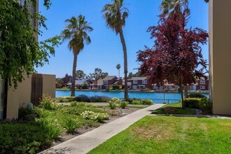 916 Beach Park Blvd in Foster City, CA - Building Photo - Building Photo