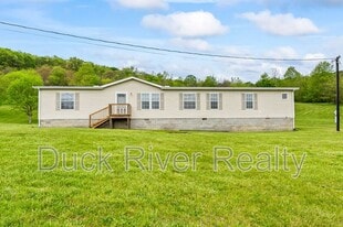 1764 Terrapin Branch Rd in Mt Pleasant, TN - Building Photo