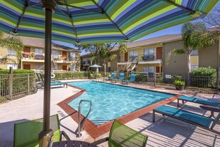 Greater Heights Apartments For Rent From 600 Houston Tx Heights 2121 Apartments