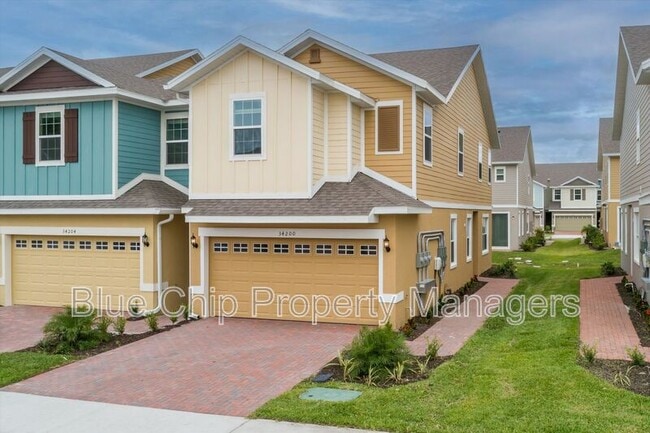 34200 Cinder Wy in Wesley Chapel, FL - Building Photo - Building Photo