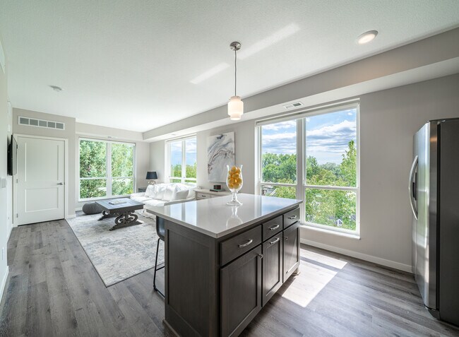 9th Street Flats in Minneapolis, MN - Foto de edificio - Interior Photo