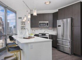 460 North Park in Chicago, IL - Building Photo