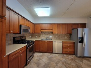 20 S Main St in Mount Prospect, IL - Building Photo - Building Photo